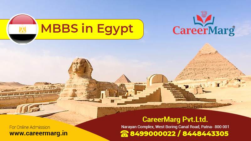 Eligibility Criteria of MBBS in Egypt