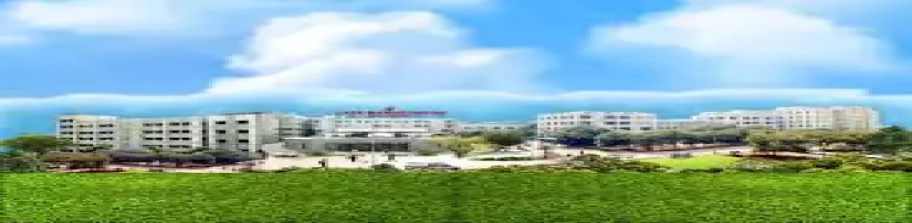 N. K. P. Salve Instt. Of Medical Sciences and Research Centre and Lata Mangeshkar Hospital